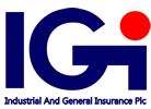 IGI Logo IGI Logo