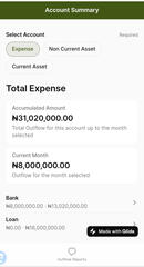 SBZ Development Accounting Report Dashboard