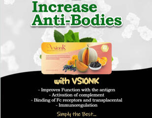 VisionK 2